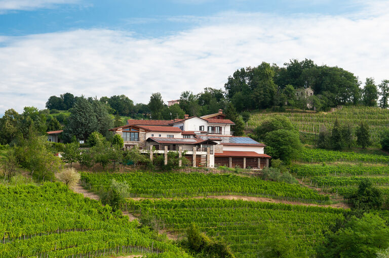 Azienda Muzic - San Floriano